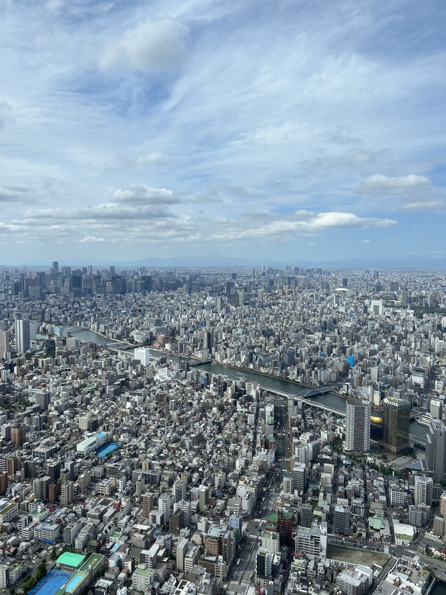 view from skytree, with fuji in the distance