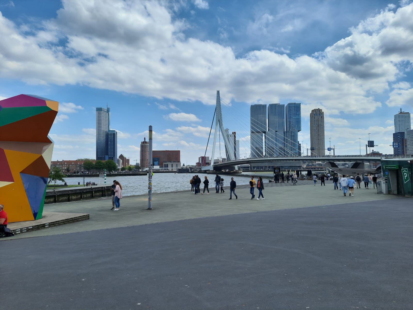 erasmus bridge